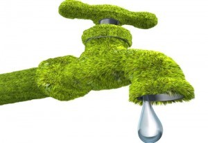Fuzzy Green Faucet - Riviera Beach Florida Fuzzy Green Faucet - Riviera Beach Florida