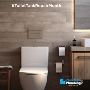 Pp Toilet Repair Month 10 25